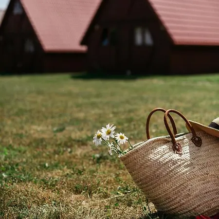 Baltyckie Władysławowo